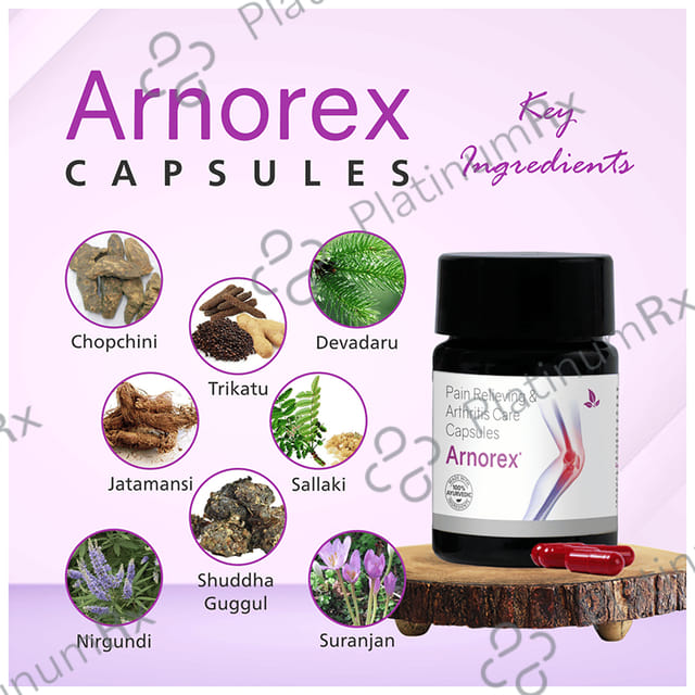 Arnorex Capsule (10 Each) 1 Bottle