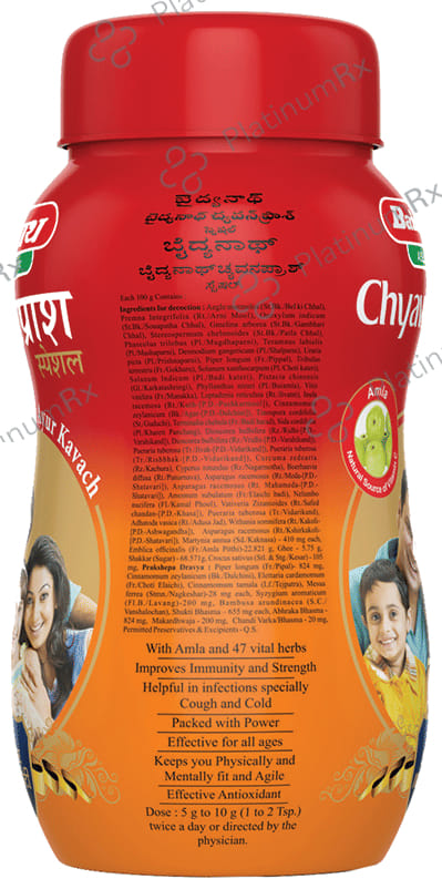 Baidyanath Nagpur Chyawanprash Special 500gm
