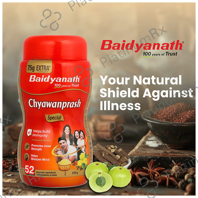 Baidyanath Noida Chyawanprash Special 575gm