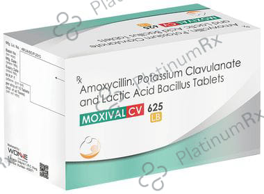 Moxival CV 625 LB Tablet