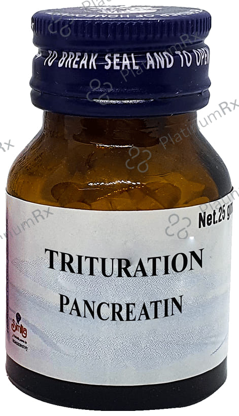 Similia Pancreatin Trituration Tablet 6X 25 gm