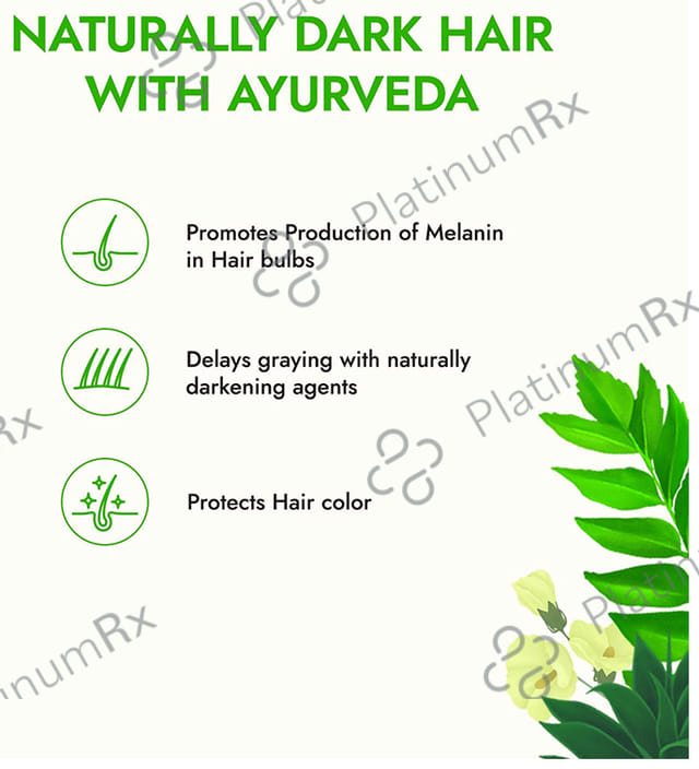 Kapiva Curry Leaf Grey Control Hair Oil
