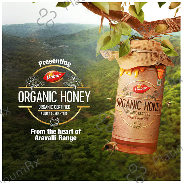 Dabur Organic Honey 100% Pure & Natural Raw 500gm