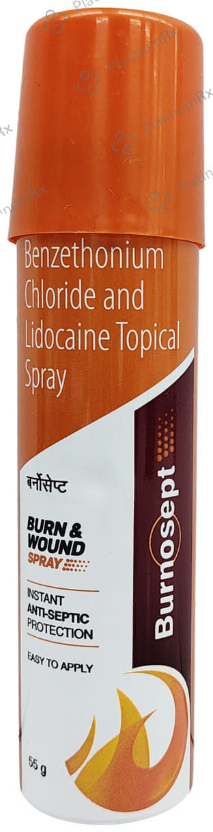Burnosept Spray 55gm