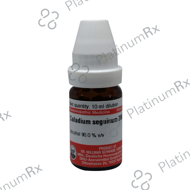 Dr Willmar Schwabe Germany Caladium Seguinum Dilution 200