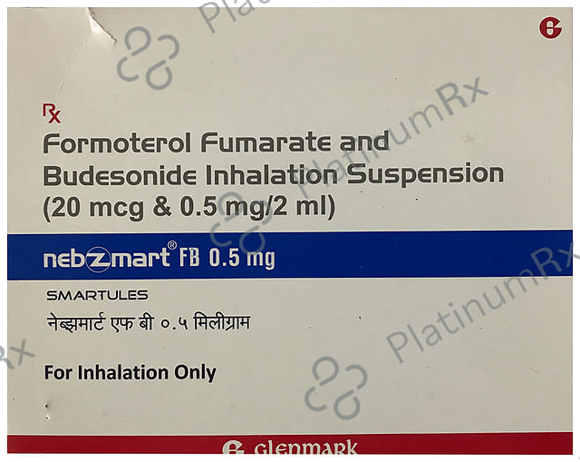 Nebzmart FB 0.5mg Smartules 2ml 7s