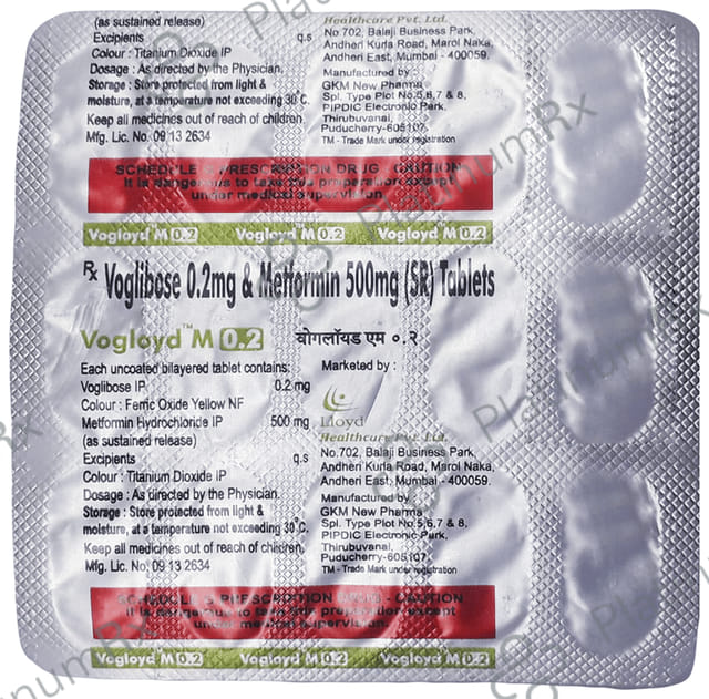 Vogloyd M 0.2/500mg Tablet SR 15s