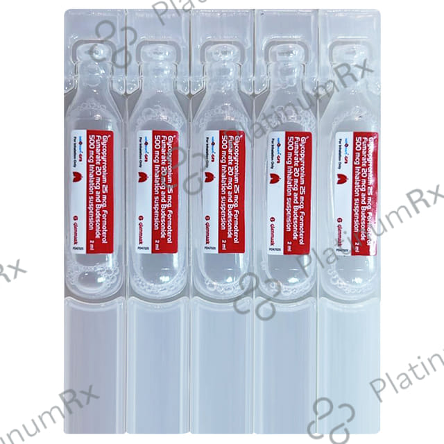 Nebzmart GFB 500/20/25mcg Smartules 5X2ml