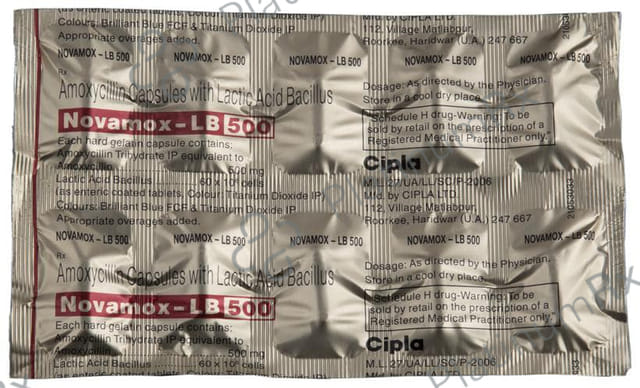 Novamox LB 500mg/60M Capsule 10s