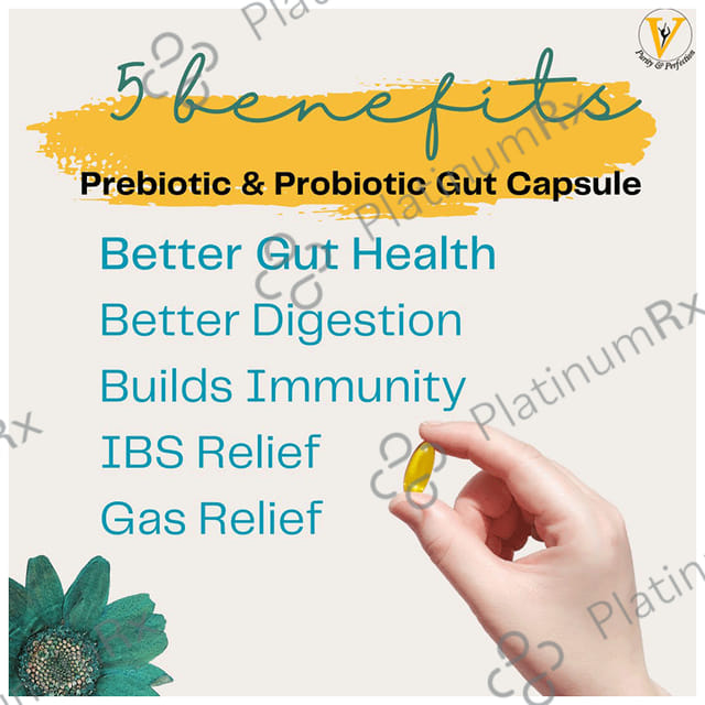Virgo Healthcare Prebiotic & Probiotic Vegicap