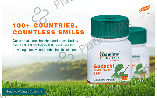 Himalaya Guduchi 250mg Tablet 60s