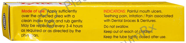 Zytee L Dental Gel 10ml