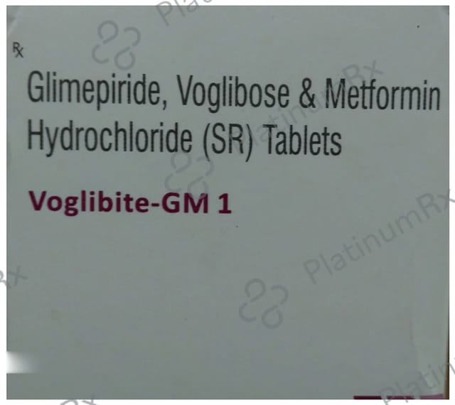Voglibite GM1 1/500/0.2mg Tablet SR 10s