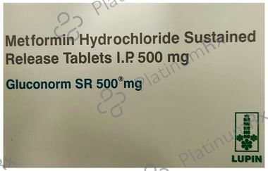 Gluconorm SR 500mg Tablet 15s