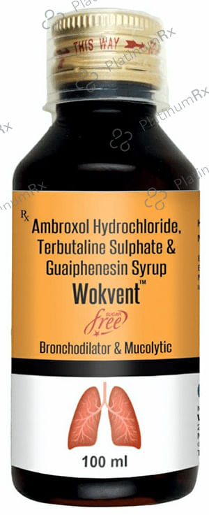 Wokvent Syrup Sugar Free