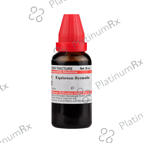 Dr Willmar Schwabe India Equisetum Hyemale Mother Tincture Q