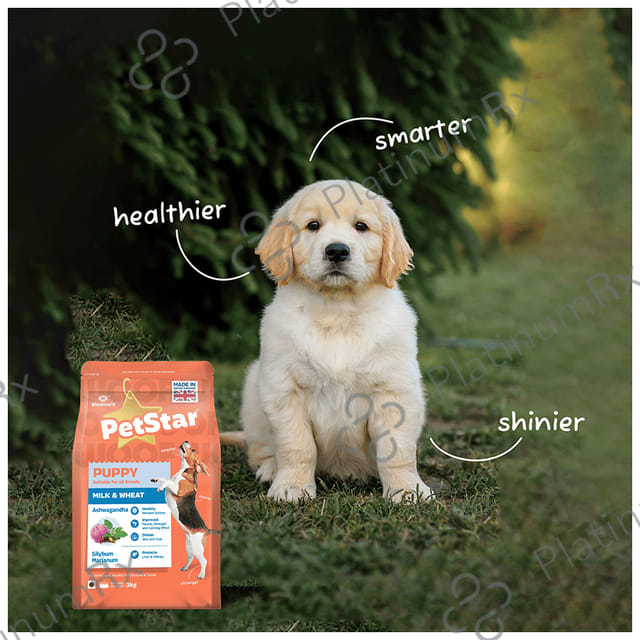 Petstar Puppy Dry Dog Food Milk & Wheat 1 kg