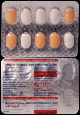 Endoformin PG 1/500/15mg Tablet SR 10s