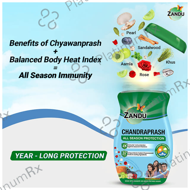 Zandu Chandraprash All Season Protection 450 gm