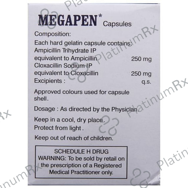 Megapen 250/250mg Capsule 10s