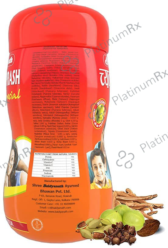 Baidyanath Chyawanprash Special Immunity Booster 1kg