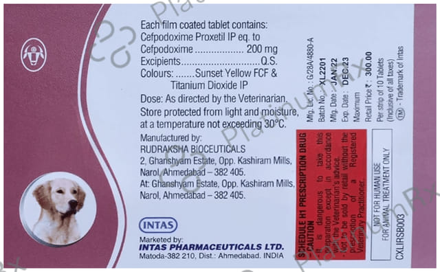 Cefpet XL 200mg Tablet 10s