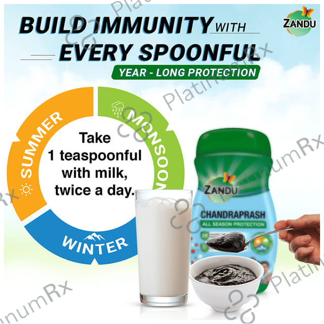 Zandu Chandraprash All Season Protection 900 gm