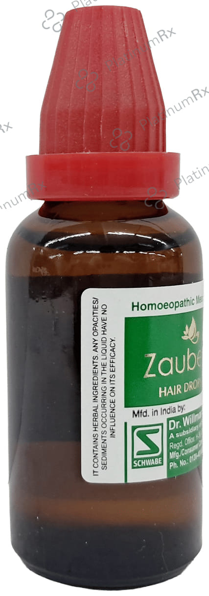 Dr Willmar Schwabe India Zauber Hair Drop