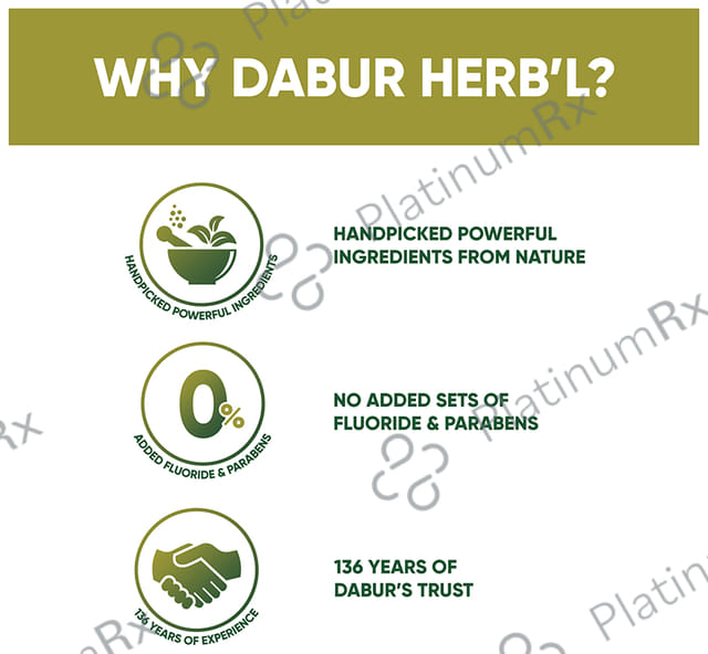Dabur Neem Germ Protection Herb'l Toothpaste (200gm Each)