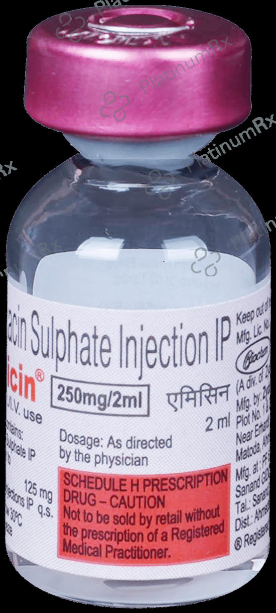 Amicin 250mg Injection 1s