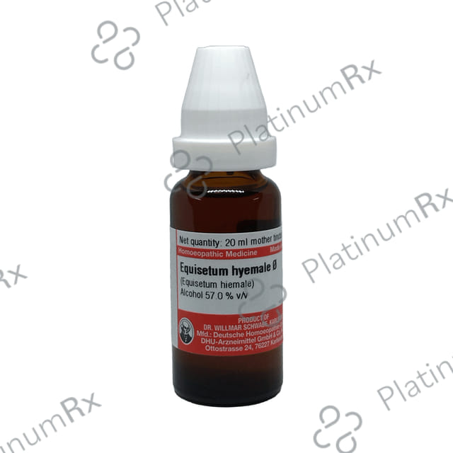 Dr Willmar Schwabe Germany Equisetum Hyemale Mother Tincture Q
