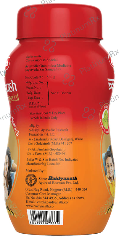 Baidyanath Nagpur Chyawanprash Special 500gm