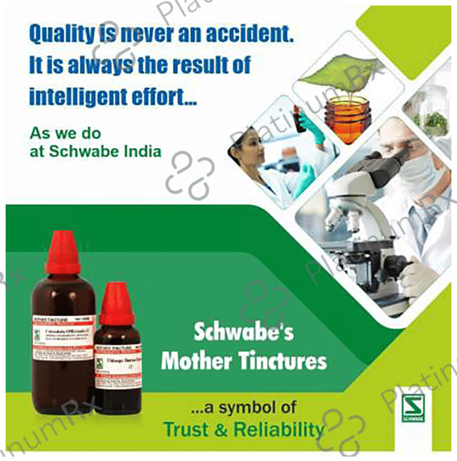 Dr Willmar Schwabe India Arnica Montana Mother Tincture Q