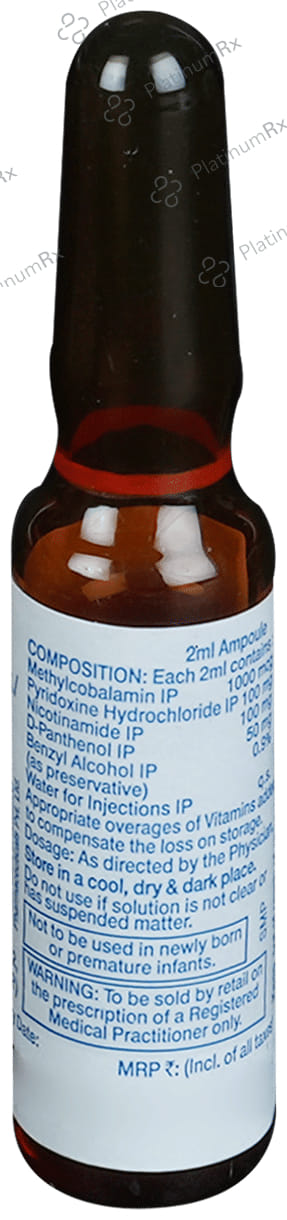 Meganeuron Forte Injection 2ml