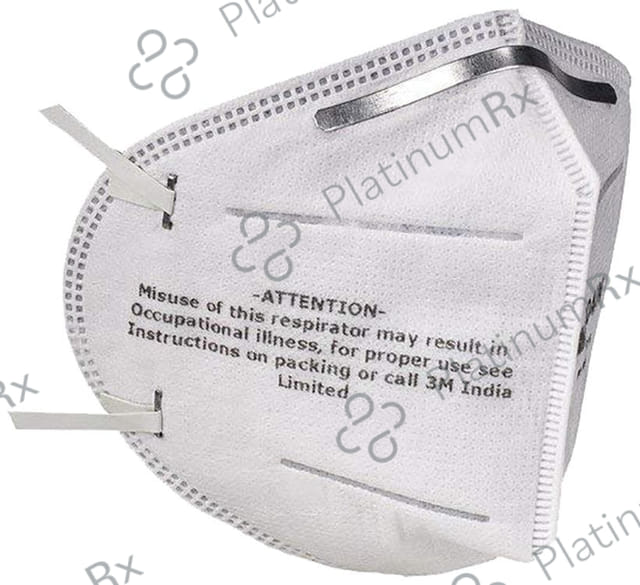 3M 9004IN Dust/Mist Respirator Mask 10 masks