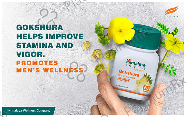 Himalaya Pure Herbs Gokshura 250mg Men's Wellness Tribulus Improves Vigour Tablet 60s