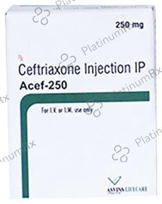 Acef 250mg Injection 1s