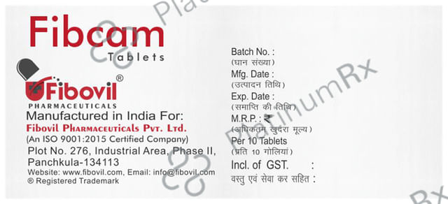 Fibcam 20mg Tablet 10s