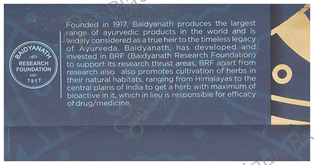 Baidyanath (Jhansi) Shilajit