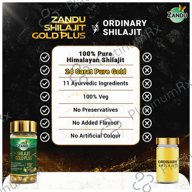 Zandu 500mg Shilajit Gold Plus Capsule 60s