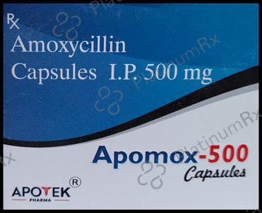 Apomox 500 Capsule