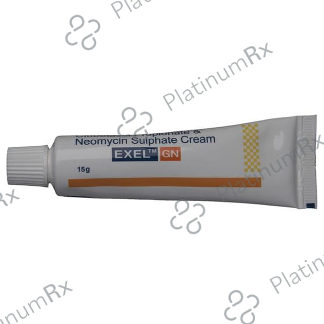 Exel GN Cream 15gm