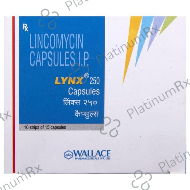 Lynx 250mg Capsule 15s