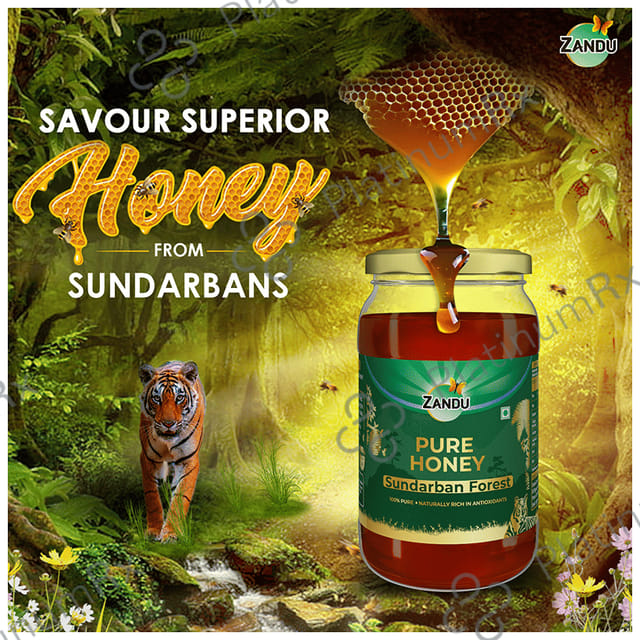Zandu Sundarban Forest Pure Honey
