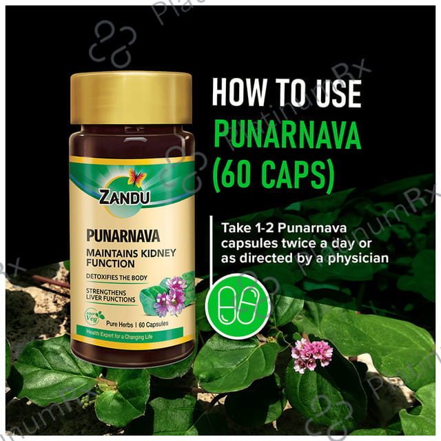 Zandu Punarnava Capsule