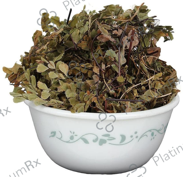 Yuvika Hansraj - Pershosha - Adiantum Capillus Veneris 100 gm