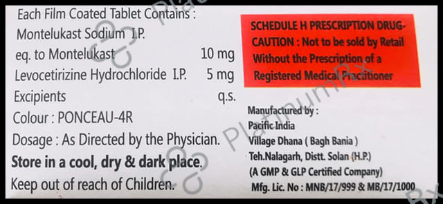 Lemotek Plus Tablet 10s