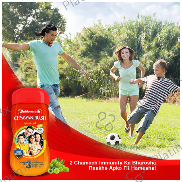Baidyanath Chyawanprash Special 950gm