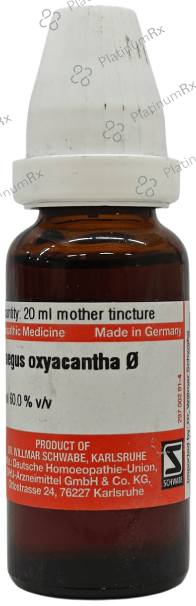 Dr Willmar Schwabe Germany Crataegus Oxyacantha Mother Tincture Q