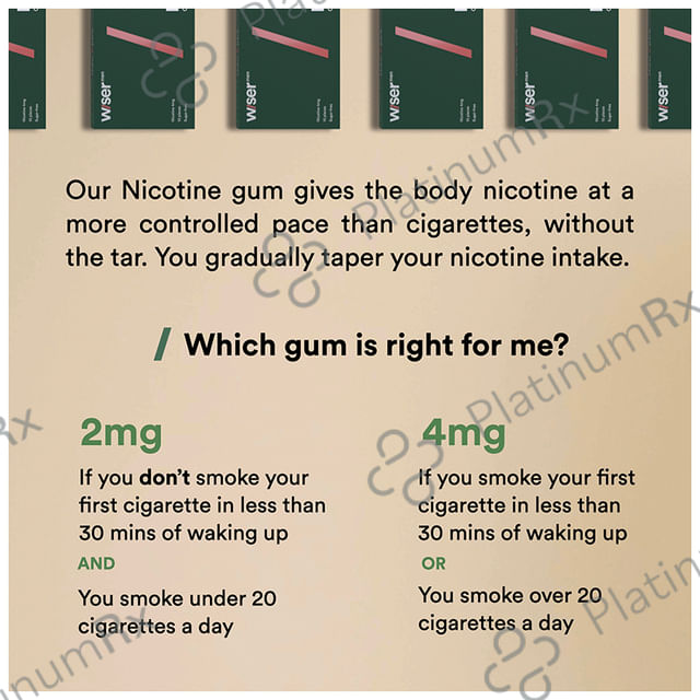 Wiser Men Kick Quit 4mg Smoking Kit 1s